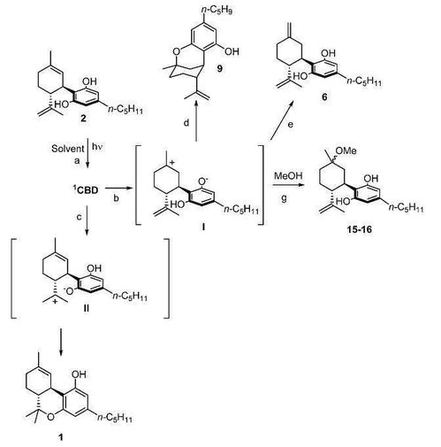 光照下大麻二酚的丙酮稳定性探究